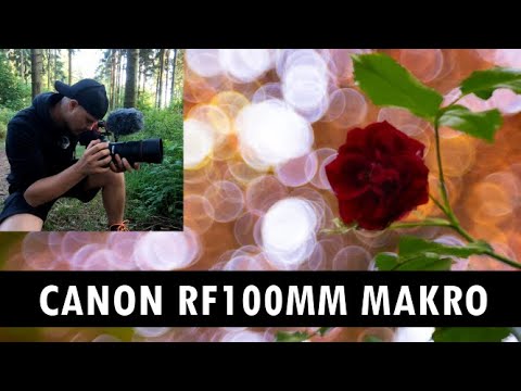 Canon RF100mm - Bokeh and first impressions