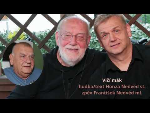 Vlčí mák František Nedvěd ml. 