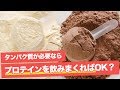 「タンパク質を