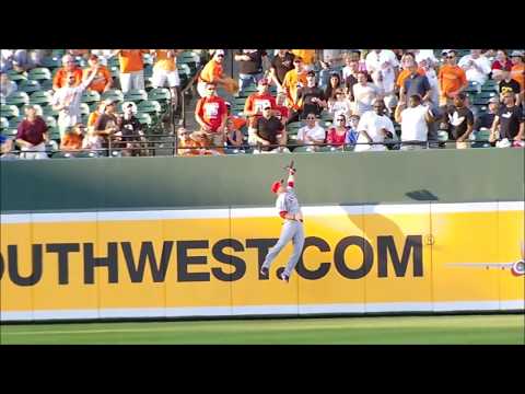 /r/baseballcirclejerk In Memoriam 2017