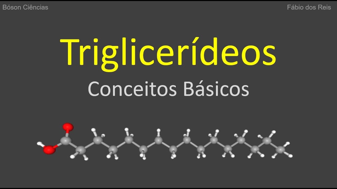 O que são Triglicerídeos (Triglicérides)