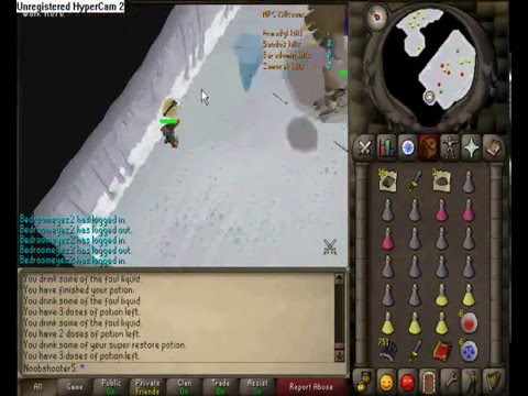 Armadyl Boss - Kree'arra