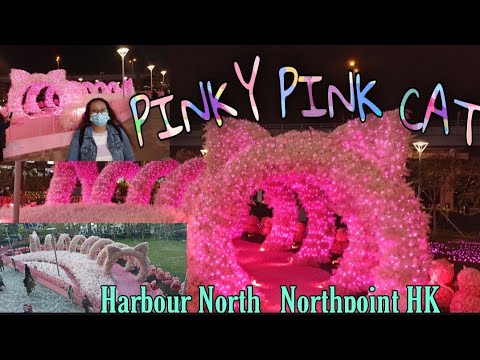 PINKY PINK CAT DISPLAY HARBOUR NORTH||NORTHPOINT HK||FIRST PREMIERE BEING MONITIZED||Music lover2814