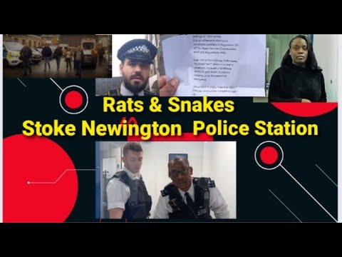 Rats & Snakes inside Stoke Newington Police Station | Outrageous Behaviours | Audit Outcome Success