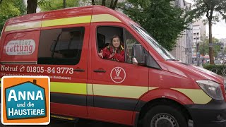 Ein Tag bei der Tierrettung | Information für Kinder | Anna und die Ha