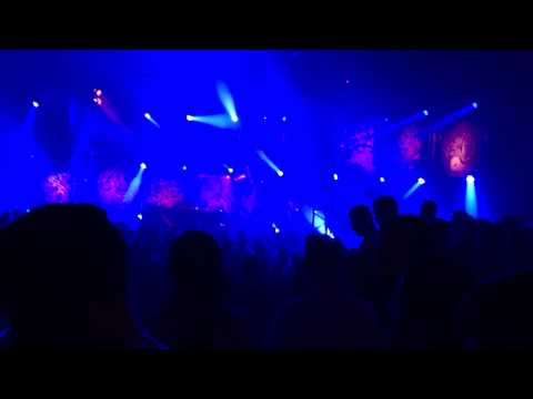 Xxlerator honig complex 2015