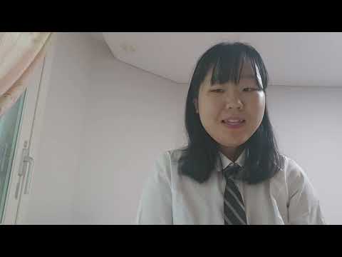 비디오 7