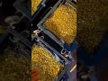 Gold Chocolate Bullions Gold Bullion Finegold Goldbullion Gold999 Goldbar Indiagold