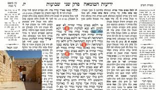 דף יומי מסכת שבועות דף יז Daf yomi Masechet Shevuot page 17  ע"י יוני גוטמן (שיעורי הדף היומי ב-20 דקות – מועבר ע"י ר' יוני גוטמן – לעילוי נשמת אביו ר' אלימלך צבי (צביקה) גוטמן ז"ל) - התמונה מוצגת ישירות מתוך אתר האינטרנט יוטיוב. זכויות היוצרים בתמונה שייכות ליוצרה. קישור קרדיט למקור התוכן נמצא בתוך דף הסרטון