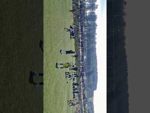 Miniatura filmu