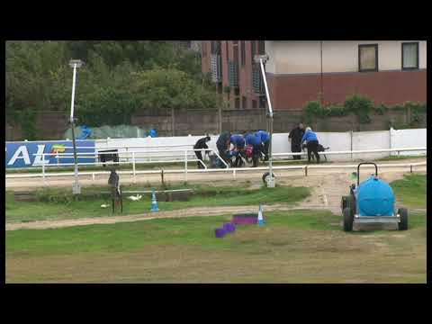 BOCKOS DOOMIE 25 7 20