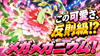メガメガメガニウム！！【ポケモンチャンピオンズ】