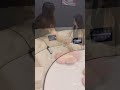 Smart Home Smart Bed Multifunctional Round Bed Moving Bed Smarthome Softbed