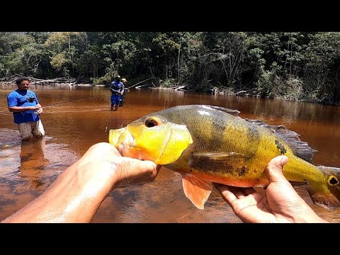 Best Fishing Trip to Kwakwani 2024| Fishing in  Berbice River | Upper Demarara 🇬🇾 2024 | Almost Died