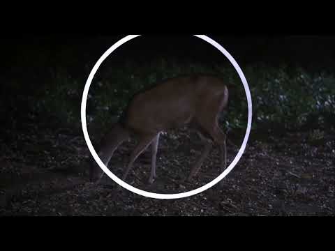 Alienator (1990) - Teagan Clive