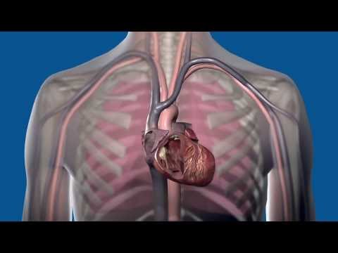 How do different cardiac rhythm devices work?