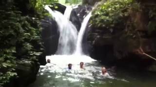 preview picture of video 'Jungle Trekking in Bukit Lawang'