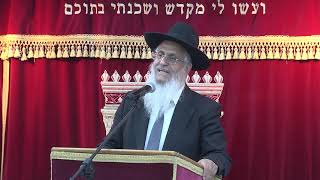 הלכות עבודות הקרקע והגינה בשמיטה | הרב יורם סרי