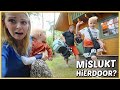 HiERDOOR KUNNEN ONZE SCENES MiSCHiEN NiET DOOR GAAN??? ? | Bellinga Vlog #2467