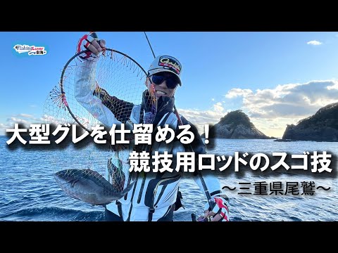 【FishingLover東海】大型グレを仕留める！競技用ロッドのスゴ技