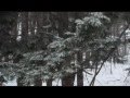 Snowflake Dance