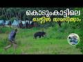 Tiger Trail Tent Camping Inside Periyar National Park Trekking In Deep Forest 4K