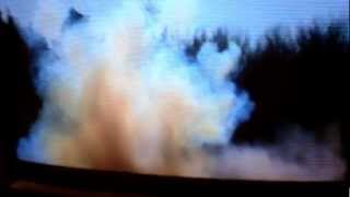Hogs being blown up with tanerite