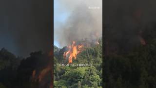 広島県福山市で山林火災発生　飛び火し延焼