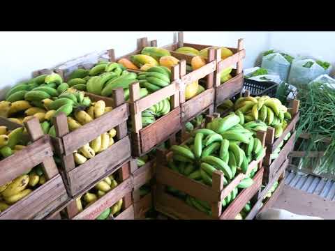 ESCOLAS E CRECHES RECEBEM ALIMENTOS DA AGRIPAC PARA ALIMENTAÇÃO DOS MAIS DE 5.500 ALUNOS