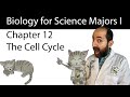 Chapter 12 The Cell Cycle