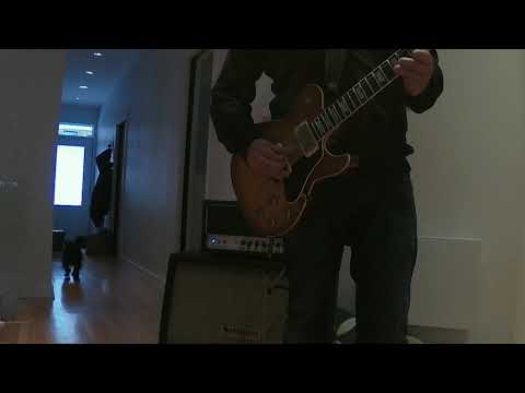 Dr Z 6545 45 Channel with Gustavsson Bluesmaster