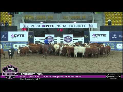 2023 NCHA Futurity - OPEN DERBY - FINAL - Draw: 12 | Horse: PCD LOUIE MOORE | Rider: MR HUGH MILES