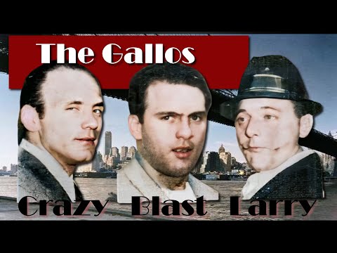 The Gallo Gang!
