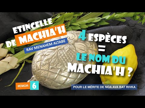 4 espèces = le nom du Machia'h ?