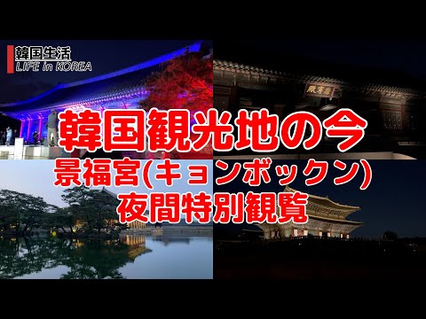 [Atual destinos turísticos coreanos/Seul] Palácio Gyeongbokgung/Visualização noturna especial