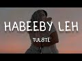 Tul8te - Habeeby Leh (Lyrics/كلمات )(English Translation)