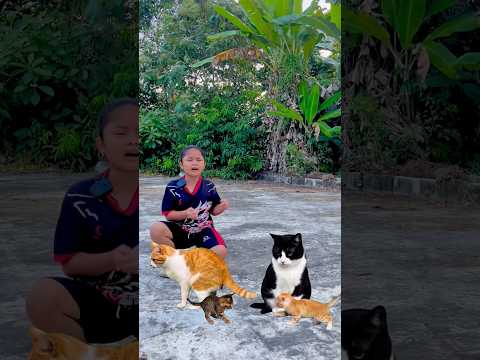 Ini eek ayam ini eek kucing ini eek kelinci 🐓🐈🐈‍⬛🐇 #animals
