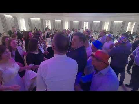 Animazione per Matrimoni Travolgente  - Balli di Gruppo e Divertimento - Francesco Barattucci