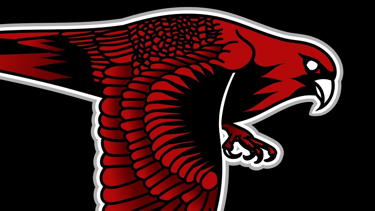 Falcon Logo Style Vector Art Digital Drawing - Time Lapse Art Video by DKS