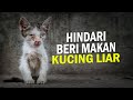 Semoga Saya Tidak Dibenci Karena Video Ini AlamSemenit