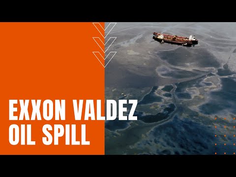 Exxon Valdez Oil Spill