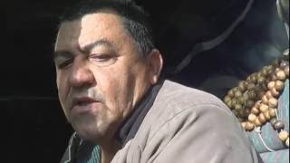 Miniatura do vídeo