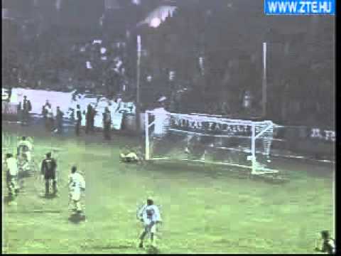 Meye, a gaboni vipera