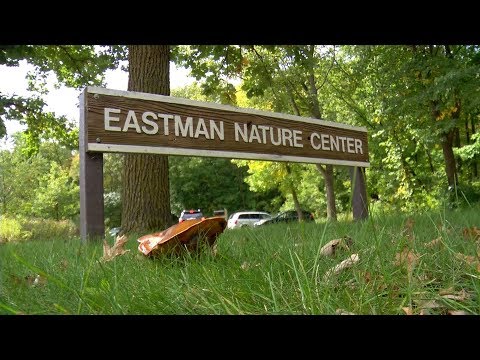 Eastman Nature Center Provides Respite from Nearby Development