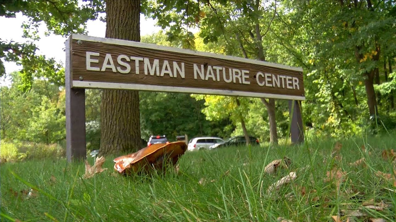 Eastman Nature Center Provides Respite from Nearby Development