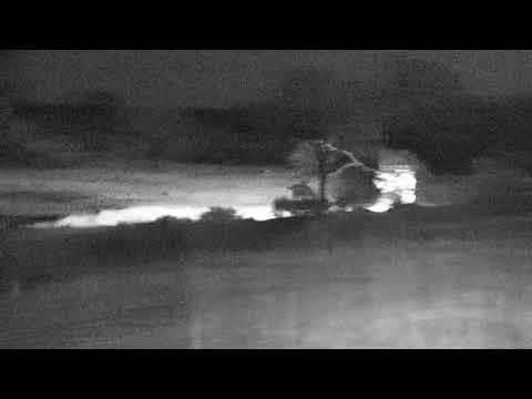 Djuma: Breeding herd of Buffalo - 23:33 - 09/21/18
