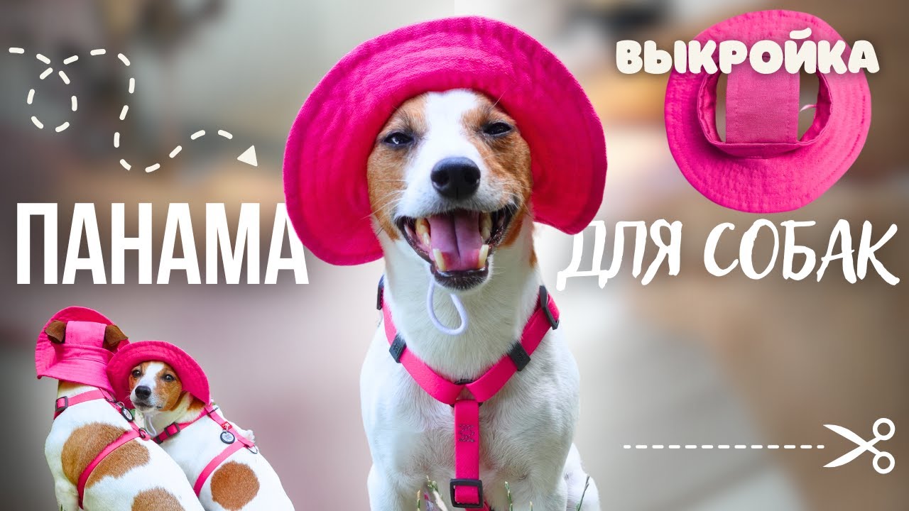 YouTube video preview