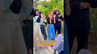 Download lagu The Wolf Gang Acts Up #shorts mp3 Download lagu The Wolf Gang Acts Up #shorts mp3