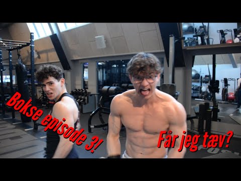 Bodybuilder lærer at bokse. Afsnit 3