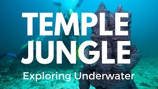 Scuba Diving Underwater Temples through Jungles in Bali